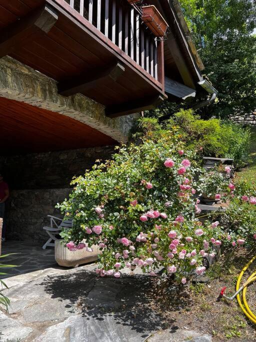 Chalet Cheverel Remondey 외부 사진